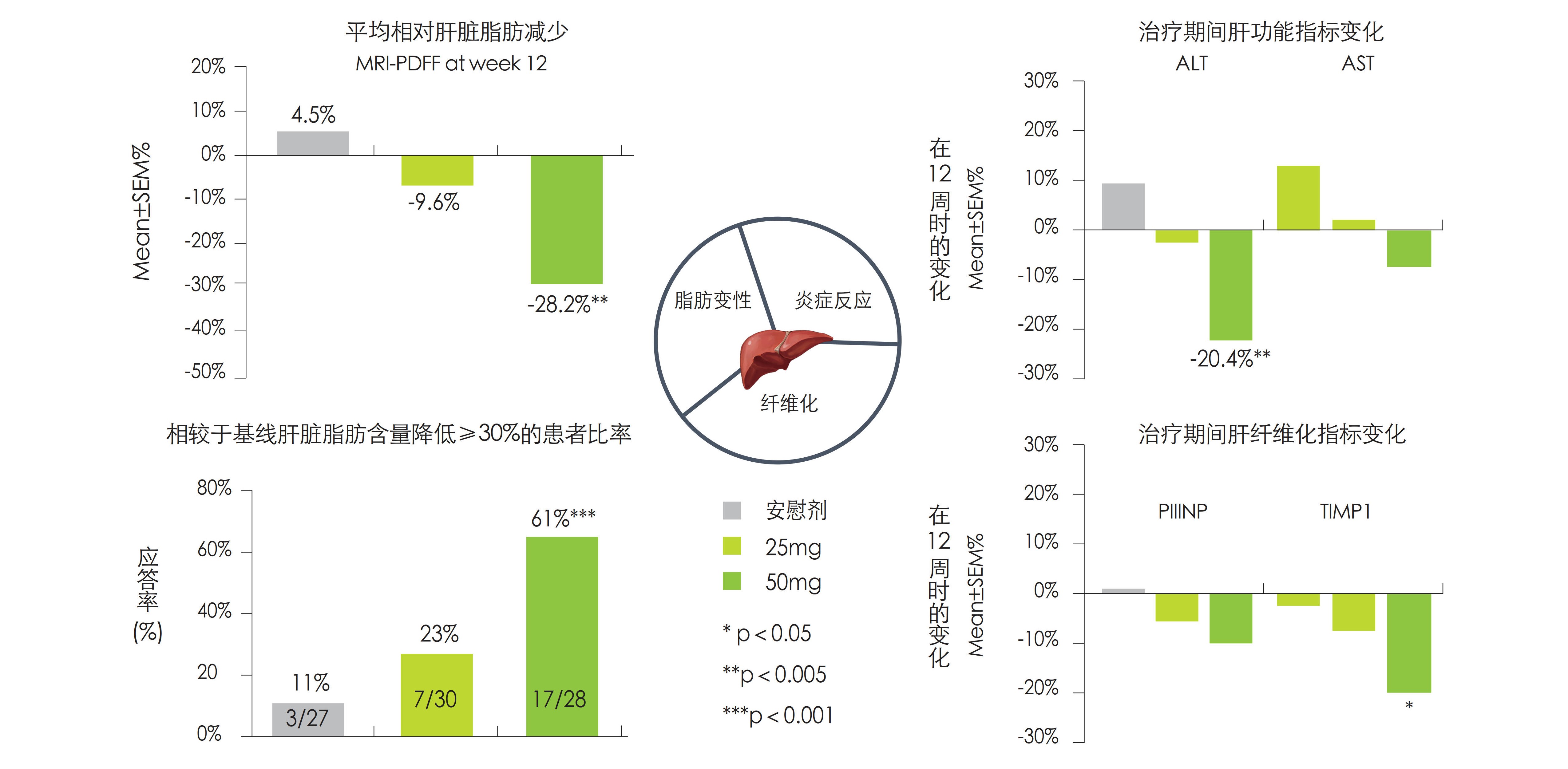 NASH三折页20210412单面_4_1.jpg